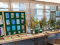 Inside the Noxious Weed room